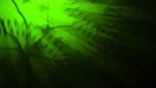 the dodos &quot;the season&quot; SUB ESPAÑOL