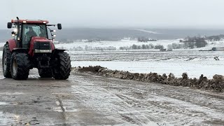 Case IH 215 Puma wheel tractor for sale - Image 4 | Agroline ET Case IH 215 Puma wheel tractor | Image 4 - Agroline