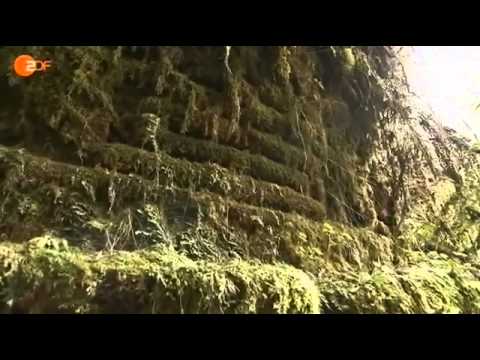 Terra X Die Stadt der Wolkenmenschen doku deutsch  - Terra X Wolkenmenschen 4