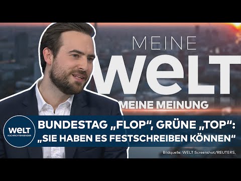 MEINE WELT - MEINE MEINUNG: Grüne bringen Grundgesetz-Änderung durch! "Man hatte gewarnt"