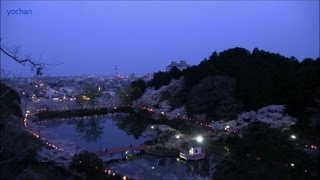 preview picture of video '【夜桜】茂原公園 千葉県(日本さくら名所100選) Cherry blossoms by night.Chiba,JAPAN'