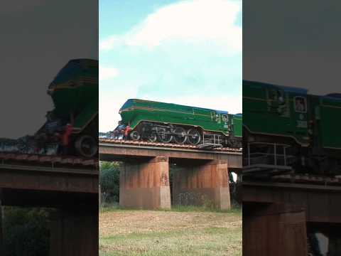 Steam train 3801 speeds across Menangle Viaduct #transportnsw