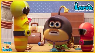 Download lagu Larva Season 2 Full Episode 🍟 Larva Cartoons - Comics HD | Larva  🥟 New Cartoon Comedy 2022 mp3