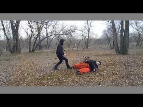 Дрессировка Американского питбультерьера. Лобовая атака в наморднике.