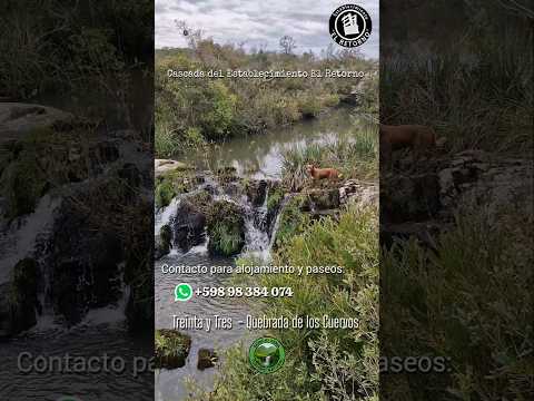 Cascada en Establecimiento "El Retorno" ( Treinta y Tres - Quebrada de los Cuervos 🇺🇾)