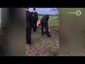 VIDEO | As van Canadese veteraan heeft nu een plekje aan de oever van de Rijn