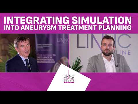 Integrating simulation into aneurysm treatment planning, experience and perspectives