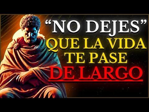 17 PRINCIPIOS para VIVIR al MÁXIMO (NO DEJES QUE LA VIDA TE PASE DE LARGO) | ESTOICISMO