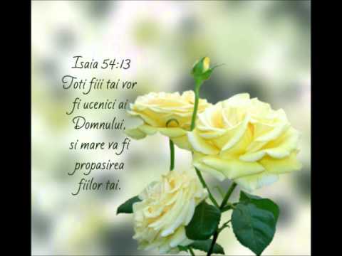 Grupul Eliezer -Tineret