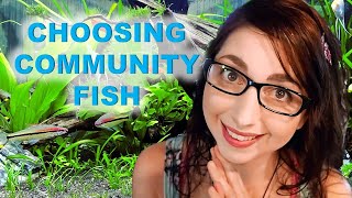 Community Fish Tanks | How To Choose Fish For Your Community Aquarium