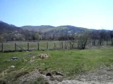 Livezile de meri de la Pietrari, jud. Dambovita