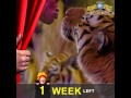 ONE WEEK Until Ringling Bros And Barnum Bailey Presents LEGENDS