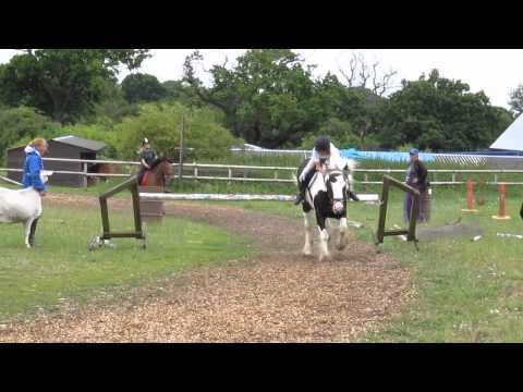 Chase Me Charlie @ Mill Green 6th July 2014