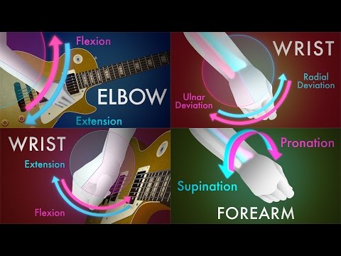 Guitar Anatomy: The Four Fundamental Movements Every Guitarist Should Know