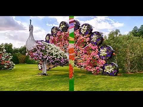 Nicu Petrescu - Nu pot și nu mai pot - mel Nicu Petrescu