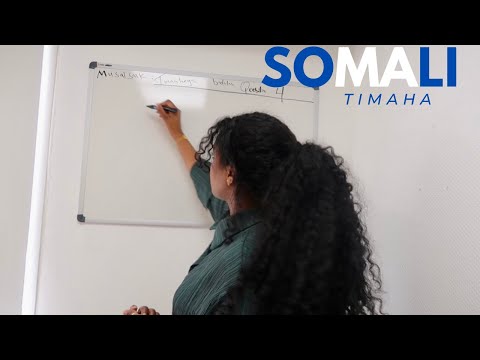 OKE MAXA LAMARINA TIMAHA ?