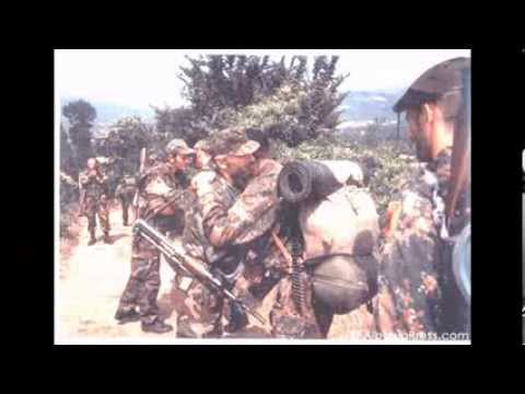 operacioni shigjeta.d.t.2 në pashtrik