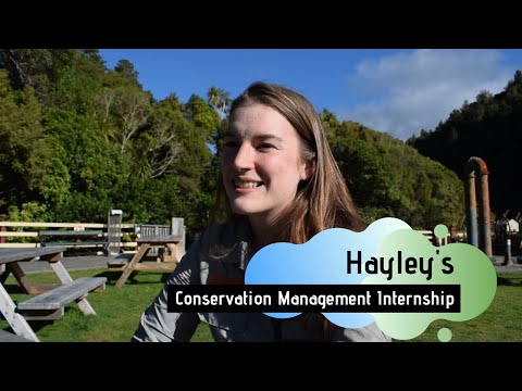 Hayley's Conservation Internship In Wellington
