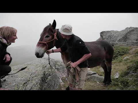 Rifugio Chalet de L'Epée