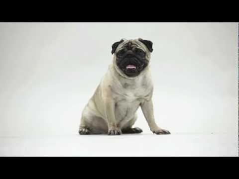 Watch Lunenburg Public Access