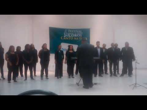 Coral Vozes da Ilha Barra dos Coqueiros Sergipe Brasil