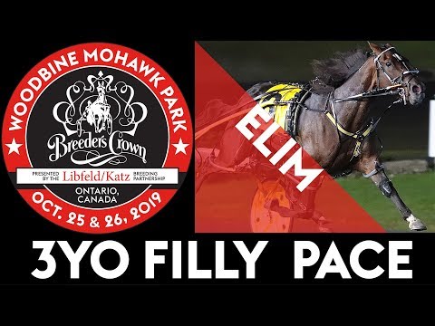 2019 Breeders Crown Elim - Warrawee Ubeaut - 3YO Filly Pace