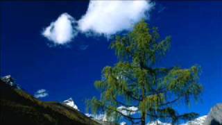 Home Grown - Tomorrow