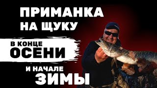 Какие приманки взять на щуку в декабре
