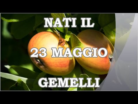 23 Maggio | Segno Zodiacale Gemelli ♊ | Significato Giorno Di Nascita | Personalità Generale