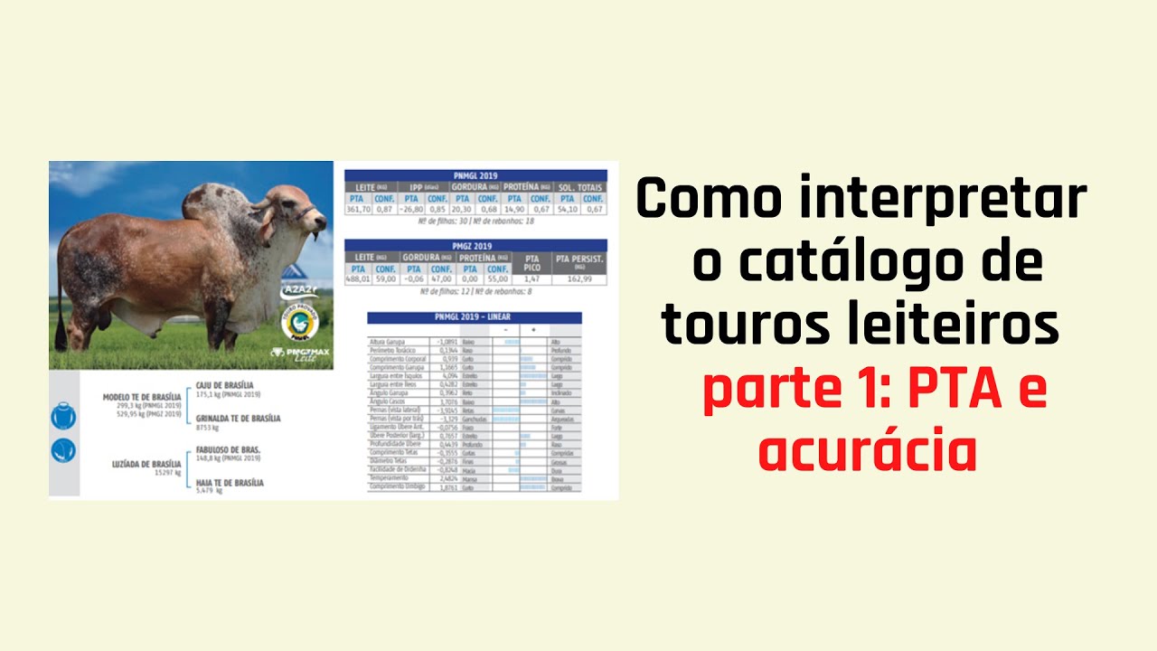 Como interpretar o catálogo de touros leiteiros - Parte 1: PTA e acurácia