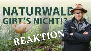 Naturwälder - Gibt es nicht?! Förster reagiert