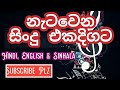 Hindi Sinhala English Songs Collection for dance - නැටවෙන සිංදු එකදිගට  @Tunelife158