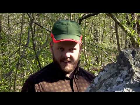 När Det Är Fredag (Leif & Billy)