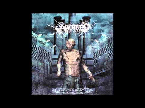 Aborted - And Carnage Basked In It's Ebullience