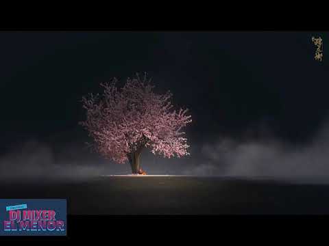 🌥Hasta El Amanecer🌥Aleteo Guaracha 2020🌥(DJ Mixer El Menor)🌥🌒(Produc MS) Zapateo Tribal🌥🌒