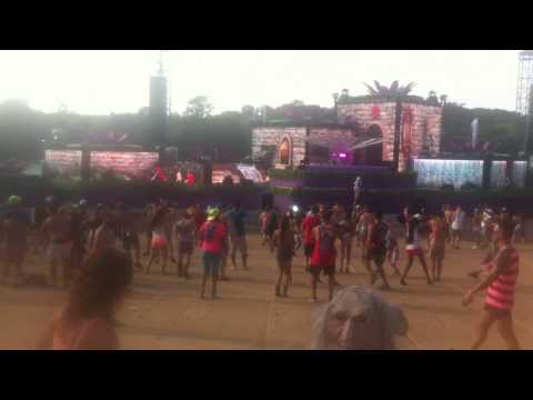Nick Catchdubs - TomorrowWorld 2013