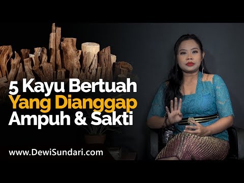 , title : '5 Jenis Kayu Bertuah Yang Dipercaya Sakti - Dewi Sundari'