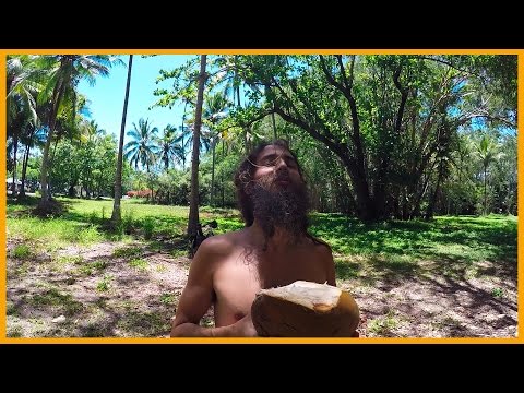 download lagu mp3 mp4 Buy Coconut Meat Australia, download lagu Buy Coconut Meat Australia gratis, unduh video klip Buy Coconut Meat Australia