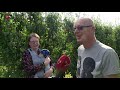 Oogsttijd begonnen: eerste fruit geplukt