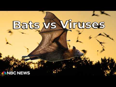 Beats Can Beat Viruses?! What's Going On?