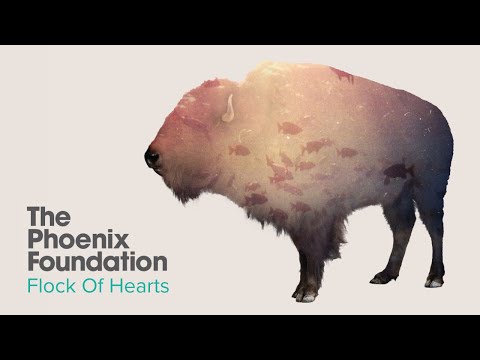 The Phoenix Foundation - Flock Of Hearts (Official Audio)