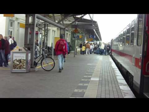 Leuphana ARTotale 2009: Team 42 Crew A: Ohne Titel (Dave the Chimp)