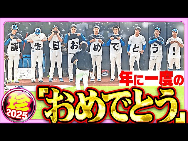 【HBD】年に一度のアレ【珍プレー2025】