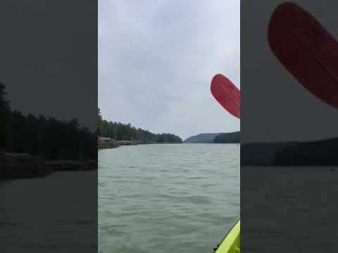 kayaking in somes sound
