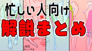  - 時間がない人に今週の筋肉おさらい！週末朝ドロ#118　90秒ドローイング  【初心者歓迎】This week's summary of human anatomy explanations.