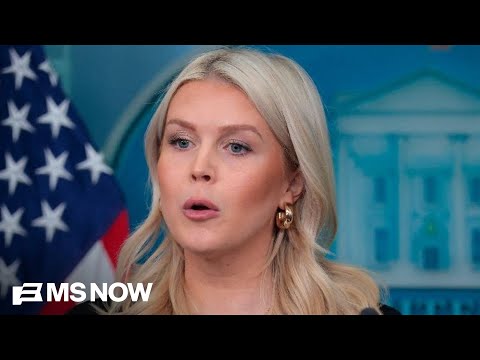 Leavitt: Trump believes country supports his actions in Iran