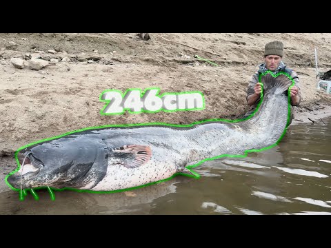 Extreme catfish caught from a belly boat