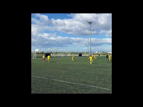 SF TOADER, Grupa 2015