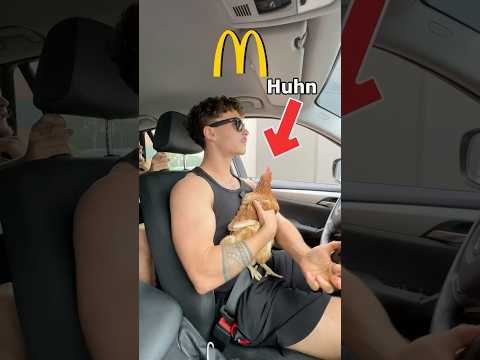 McDonald’s VS. my chicken😂