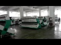 Webest Color Sorter Resorting White Sesame Whatsapp 86 152 1560 5300 Anna Bestsorter Com